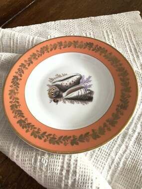 Vintage Mottahedeh Natchez Shell Soup Bowl Vista Alegre Porcelain Rim 8" Luxury